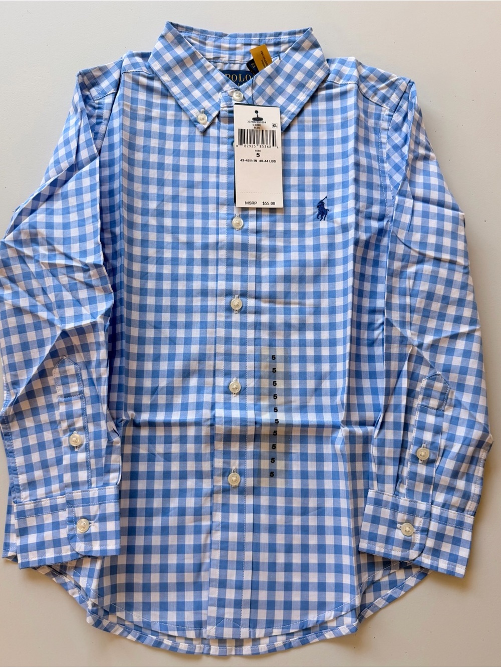Polo by Ralph Lauren Blue and White Gingham Button-Down Shirt